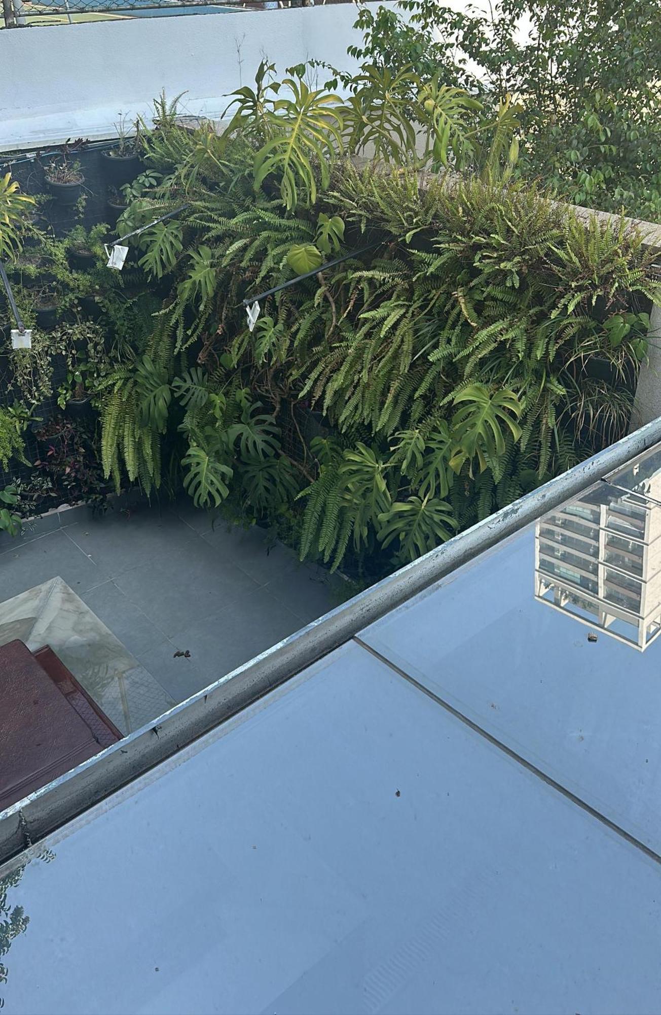 Allianz Parque , Perdizes Sao Paulo Exterior foto